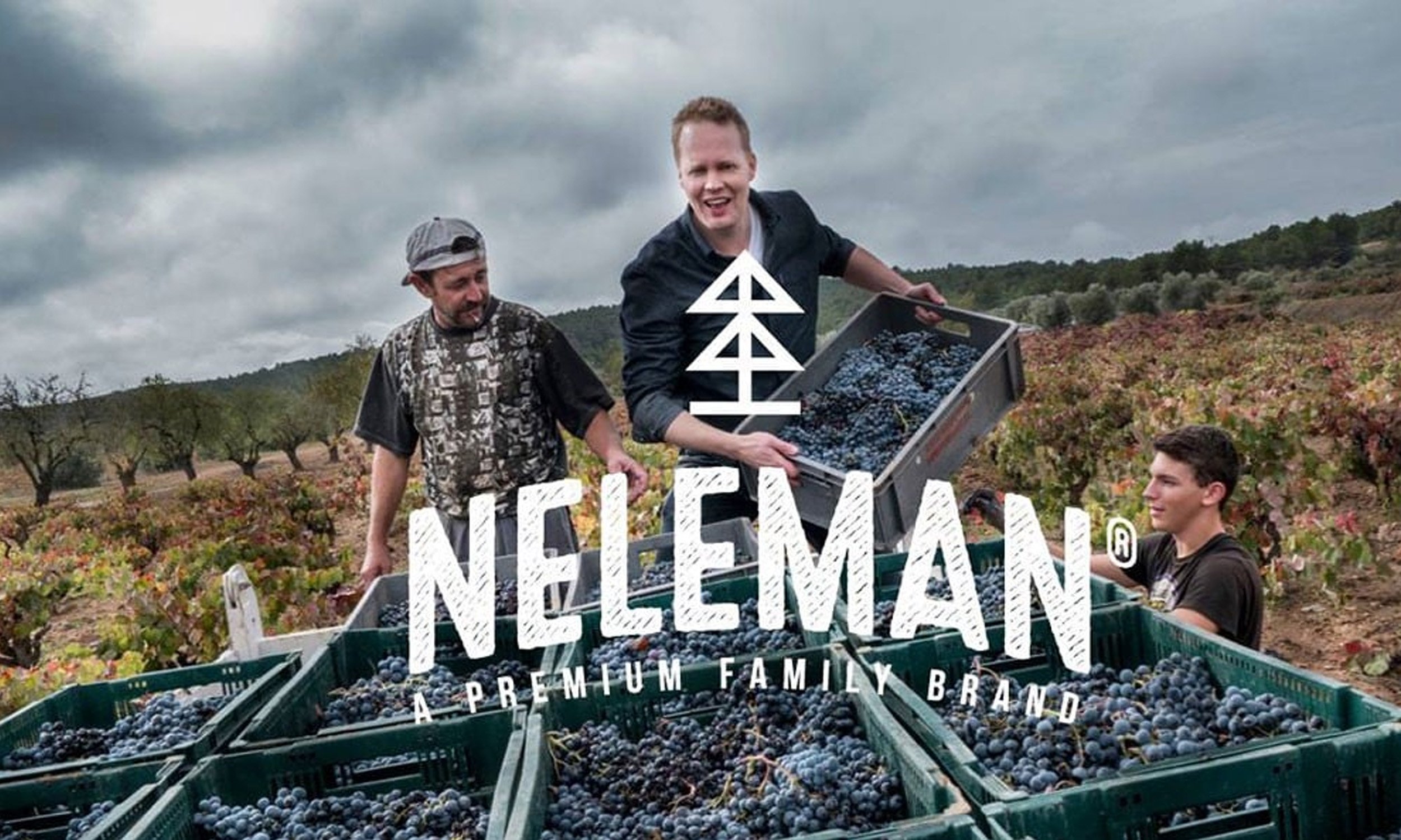 Wolk Cadeaupakket Organic